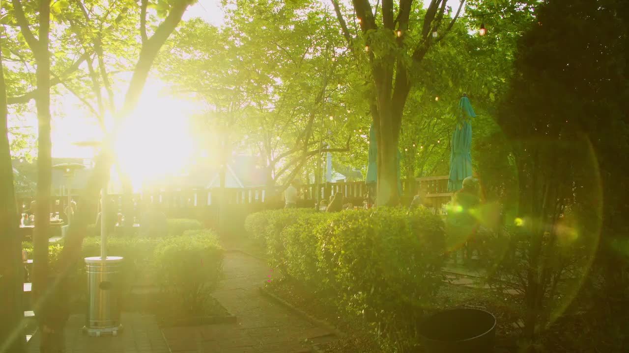The beer garden under the trees